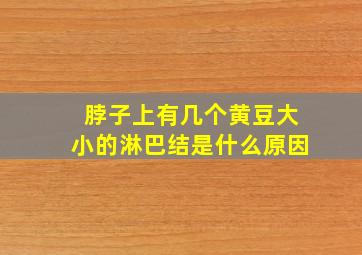 脖子上有几个黄豆大小的淋巴结是什么原因