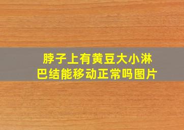 脖子上有黄豆大小淋巴结能移动正常吗图片