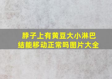 脖子上有黄豆大小淋巴结能移动正常吗图片大全