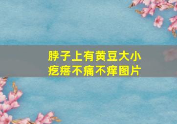 脖子上有黄豆大小疙瘩不痛不痒图片