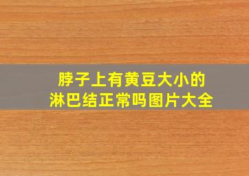 脖子上有黄豆大小的淋巴结正常吗图片大全