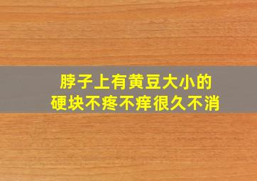 脖子上有黄豆大小的硬块不疼不痒很久不消