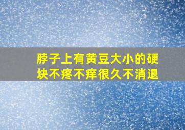 脖子上有黄豆大小的硬块不疼不痒很久不消退