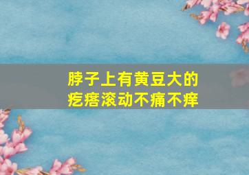 脖子上有黄豆大的疙瘩滚动不痛不痒