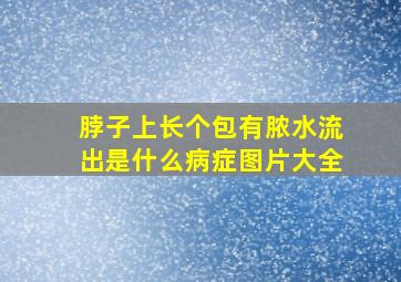 脖子上长个包有脓水流出是什么病症图片大全