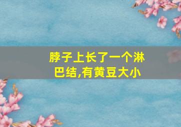 脖子上长了一个淋巴结,有黄豆大小