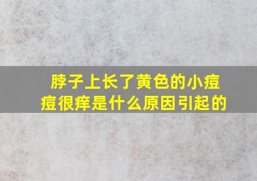 脖子上长了黄色的小痘痘很痒是什么原因引起的