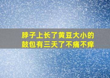 脖子上长了黄豆大小的鼓包有三天了不痛不痒