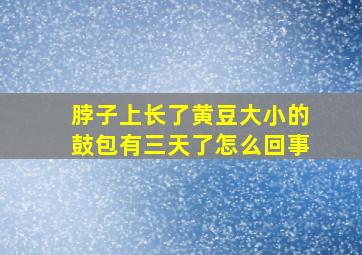 脖子上长了黄豆大小的鼓包有三天了怎么回事