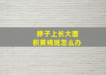 脖子上长大面积黄褐斑怎么办