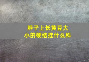 脖子上长黄豆大小的硬结挂什么科