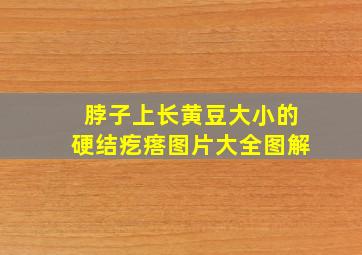 脖子上长黄豆大小的硬结疙瘩图片大全图解