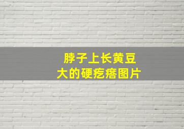 脖子上长黄豆大的硬疙瘩图片