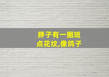 脖子有一圈斑点花纹,像鸽子