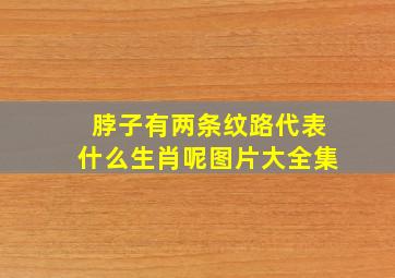 脖子有两条纹路代表什么生肖呢图片大全集