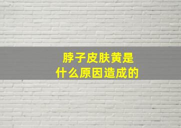 脖子皮肤黄是什么原因造成的