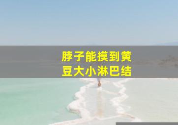 脖子能摸到黄豆大小淋巴结