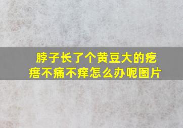 脖子长了个黄豆大的疙瘩不痛不痒怎么办呢图片