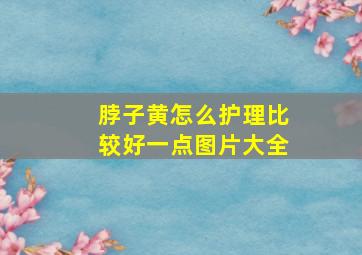 脖子黄怎么护理比较好一点图片大全