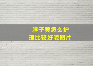 脖子黄怎么护理比较好呢图片