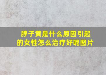 脖子黄是什么原因引起的女性怎么治疗好呢图片