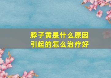 脖子黄是什么原因引起的怎么治疗好