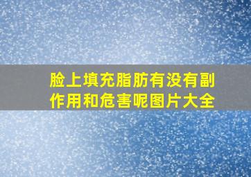 脸上填充脂肪有没有副作用和危害呢图片大全