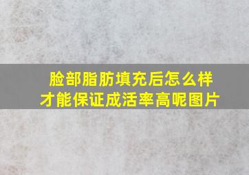 脸部脂肪填充后怎么样才能保证成活率高呢图片