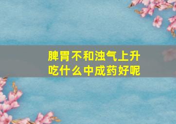 脾胃不和浊气上升吃什么中成药好呢