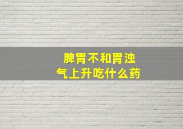 脾胃不和胃浊气上升吃什么药