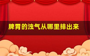 脾胃的浊气从哪里排出来