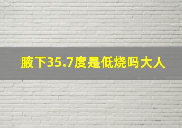 腋下35.7度是低烧吗大人