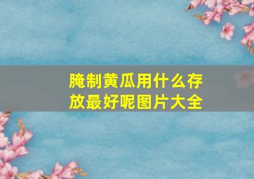 腌制黄瓜用什么存放最好呢图片大全