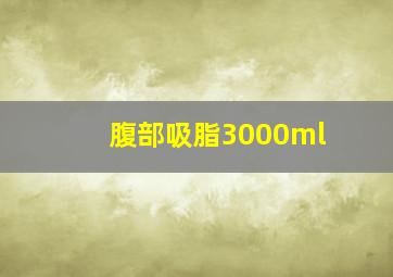 腹部吸脂3000ml