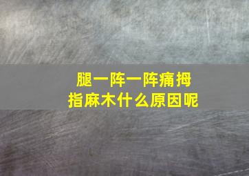 腿一阵一阵痛拇指麻木什么原因呢