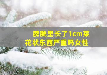 膀胱里长了1cm菜花状东西严重吗女性