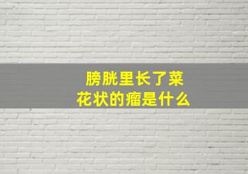 膀胱里长了菜花状的瘤是什么