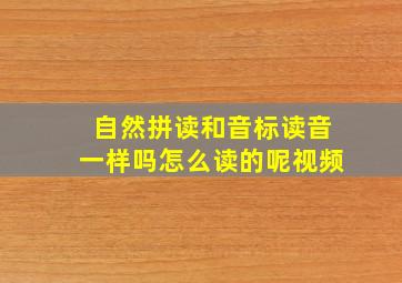 自然拼读和音标读音一样吗怎么读的呢视频