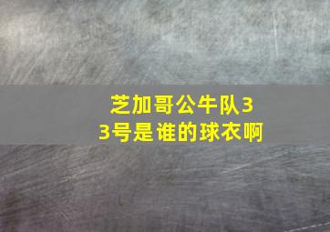 芝加哥公牛队33号是谁的球衣啊