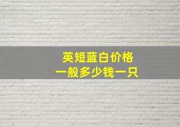 英短蓝白价格一般多少钱一只