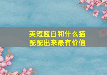 英短蓝白和什么猫配配出来最有价值