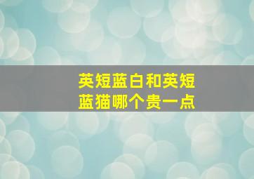 英短蓝白和英短蓝猫哪个贵一点