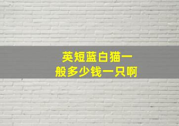 英短蓝白猫一般多少钱一只啊