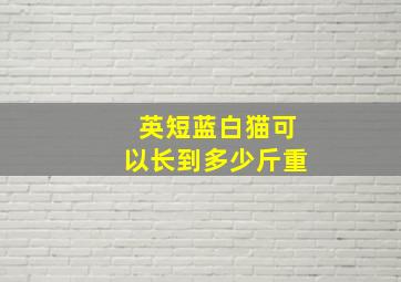 英短蓝白猫可以长到多少斤重