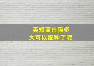 英短蓝白猫多大可以配种了呢