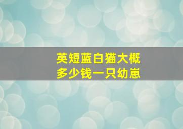 英短蓝白猫大概多少钱一只幼崽