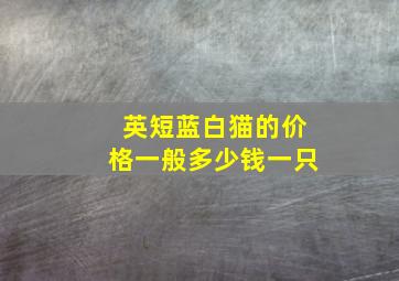 英短蓝白猫的价格一般多少钱一只