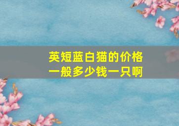 英短蓝白猫的价格一般多少钱一只啊