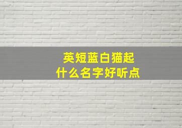 英短蓝白猫起什么名字好听点