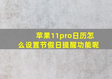 苹果11pro日历怎么设置节假日提醒功能呢